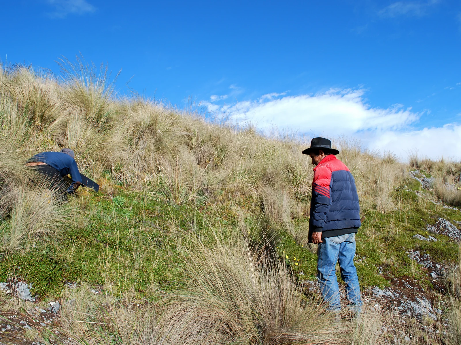Trabajo de campo documentado en la Comunidad Campesina de Llañucancha, Abancay