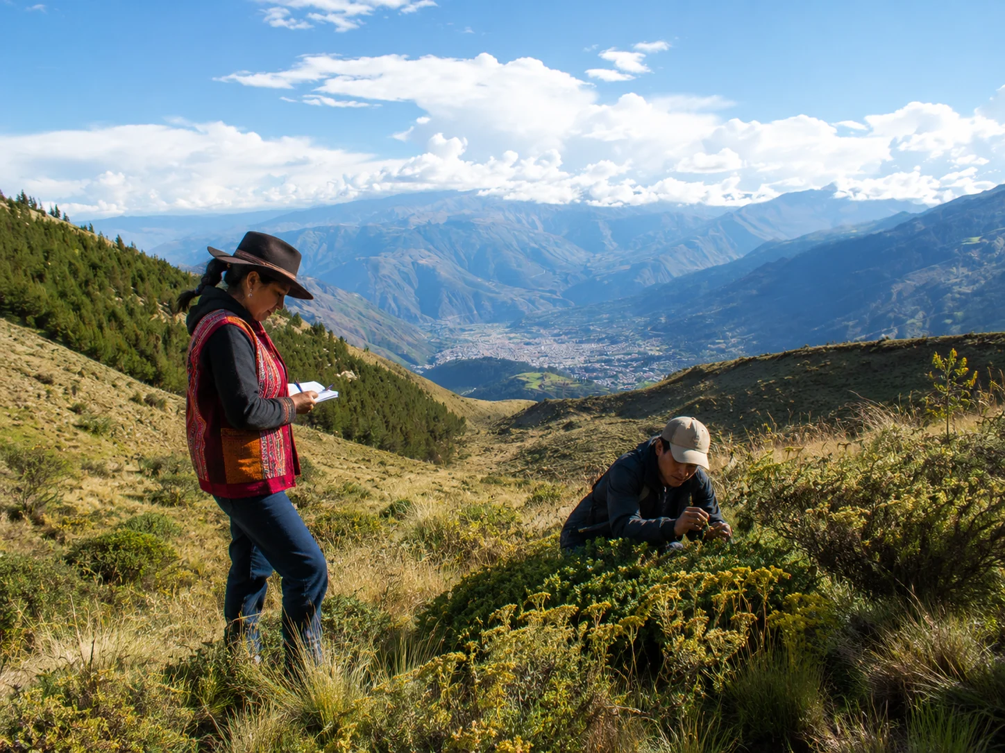 Trabajo territorial y exploración