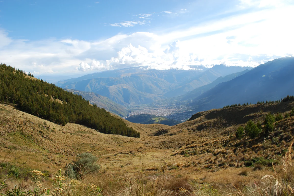 Trabajo territorial